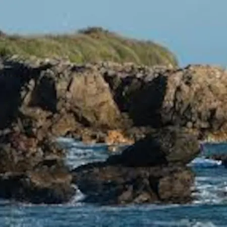 Maison Sables D'olonne Tanchet Σπίτι διακοπών *