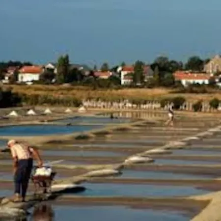 Maison Sables D'olonne Tanchet Σπίτι διακοπών *